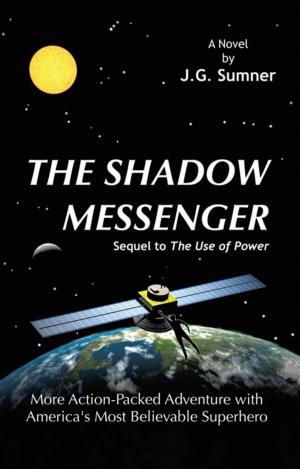 Cover of the book The Shadow Messenger by Rafig Y. Aliyev