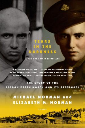 Cover of the book Tears in the Darkness by Christian Kracht