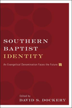 Cover of the book Southern Baptist Identity by Steve Monsma