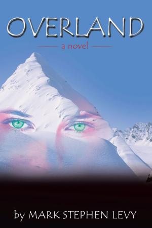 Cover of the book Overland by Silver