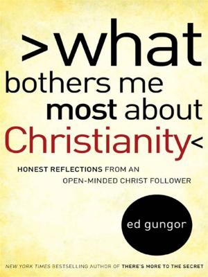Cover of the book What Bothers Me Most about Christianity by Davis Bunn