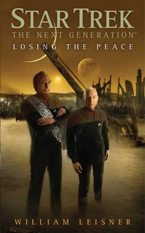 Cover of the book Losing the Peace by Jane M. Healey, Ph.D.