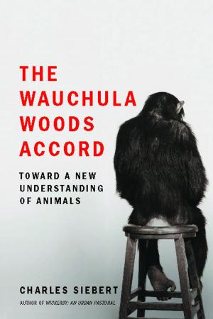 bigCover of the book The Wauchula Woods Accord by 