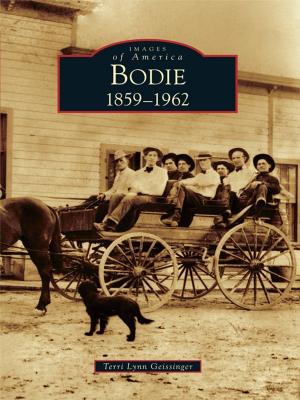 Cover of the book Bodie by Silvia Pettem