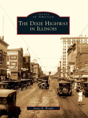 Cover of the book The Dixie Highway in Illinois by Dana Borick Brigandi