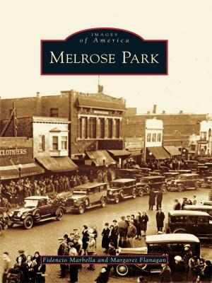 Cover of the book Melrose Park by Ruth Ballweg MPA PA-C