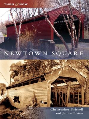 Cover of the book Newtown Square by 邊艷艷