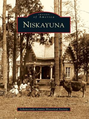 Cover of the book Niskayuna by Linda Lichte Cook