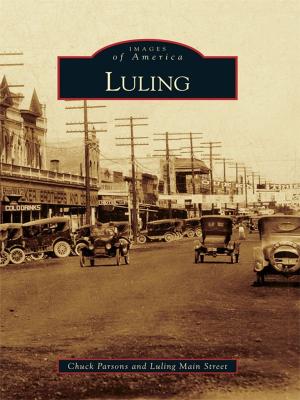 Cover of the book Luling by Donna Blake Birchell, The Southeastern New Mexico Historical Society