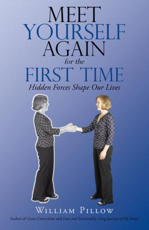 Cover of the book Meet Yourself Again for the First Time by King David