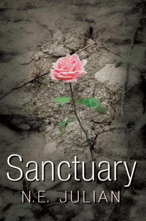 Cover of the book Sanctuary by Burt Rashbaum