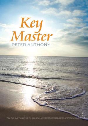 bigCover of the book Key Master by 