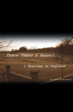 Cover of the book There Comes a Moment... by Keith Francis