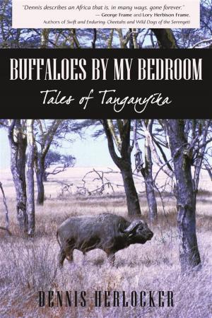 bigCover of the book Buffaloes by My Bedroom by 