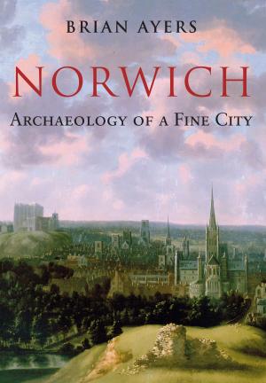 Cover of the book Norwich Archaeology of a Fine City by Mark Lee Inman