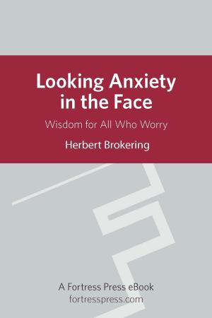 Cover of the book Looking Anxiety in the Face by Gail Ramshaw