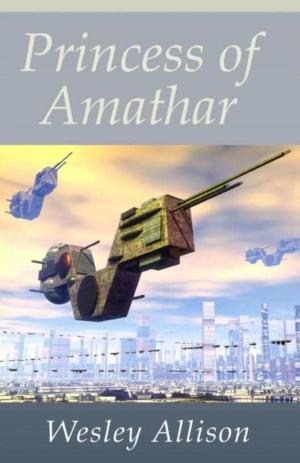Cover of the book Princess of Amathar by H. Schussman