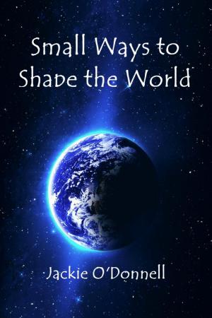 Cover of the book Small Ways to Shape the World by Chindah Chindah