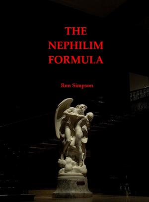 Book cover of The Nephilim Formula