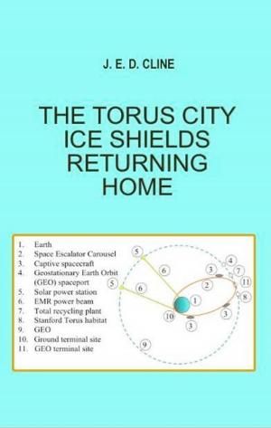 Book cover of The Torus City Ice Shields Returning Home