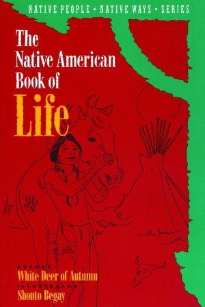bigCover of the book The Native American Book of Life by 