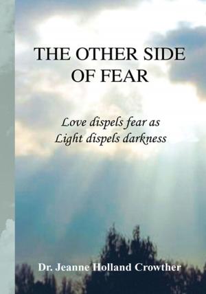 Cover of the book The Other Side of Fear by Adam Fenner