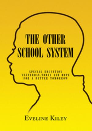 Cover of the book The Other School System by Laqaixit Tewee