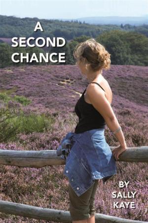 Cover of the book A Second Chance by William Hiltz