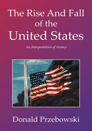 Cover of the book The Rise and Fall of the United States by Dimitar Guydarov