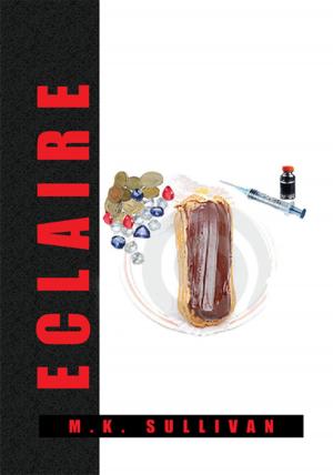 Cover of the book Eclaire by Jovanka Bach