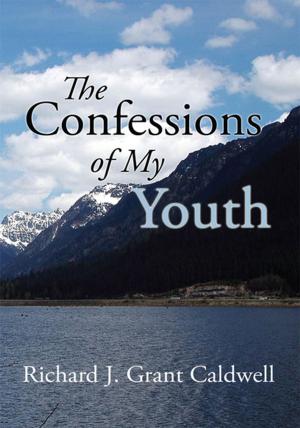 Cover of the book The Confessions of My Youth by Dr. Wendell J. Davis Sr.