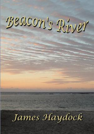 Book cover of Beacon's River