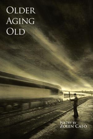 Cover of the book Older, Aging & Old by Paula Jones