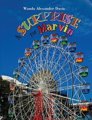 Cover of the book A Surprise for Marvin by Angella Smithen