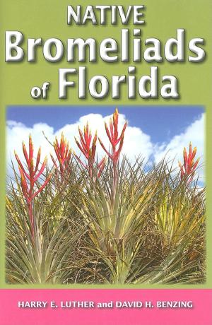 Cover of the book Native Bromeliads of Florida by Max Hunn