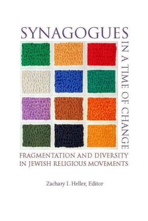 Book cover of Synagogues in a Time of Change