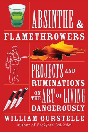 Cover of the book Absinthe & Flamethrowers by Ellen Mahoney, Ellen Mahoney