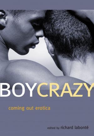 Cover of the book Boy Crazy by Charlie Glickman