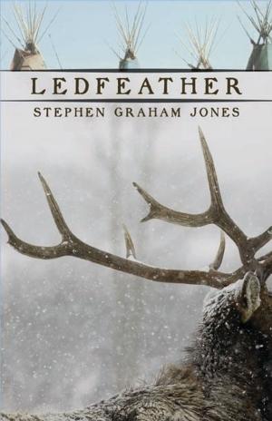 Book cover of Ledfeather