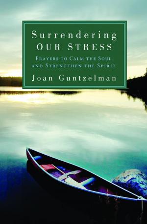 Cover of the book Surrendering Our Stress: Prayers to Calm the Soul and Strengthen the Spirit by Mitch Pacwa
