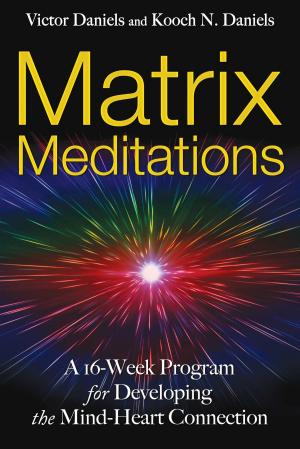 Cover of the book Matrix Meditations by Janna Valencia