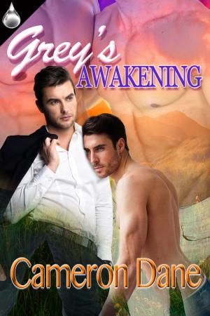 Book cover of Grey's Awakening