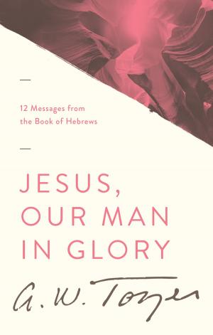 Cover of the book Jesus, Our Man in Glory by Stephanie Perry Moore