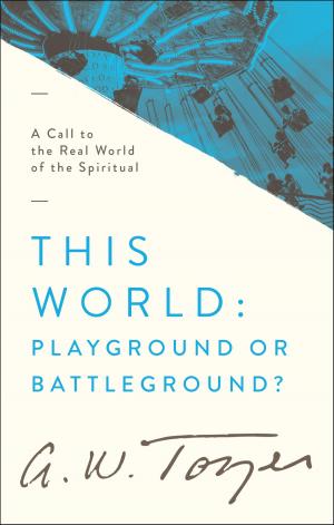 Cover of the book This World: Playground or Battleground? by Richard A. Burr, Arnold R. Fleagle