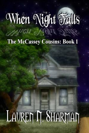 Cover of the book When Night Falls by Sherry Derr-Wille