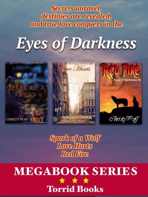 Cover of the book Eyes Of Darkness Megabook Volume 1 by Michelle O'Neill, Lindsey Bayer