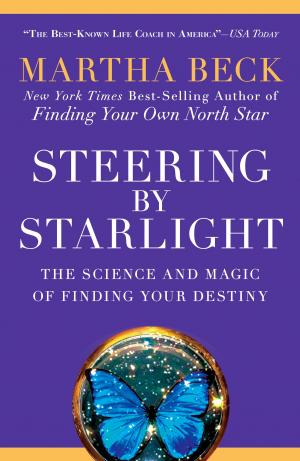 Book cover of Steering by Starlight