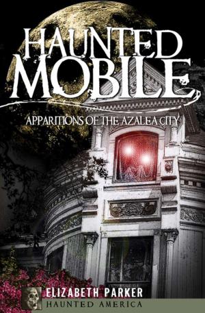 Book cover of Haunted Mobile