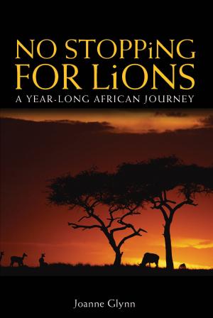 Cover of the book No Stopping for Lions by Mark Johnston