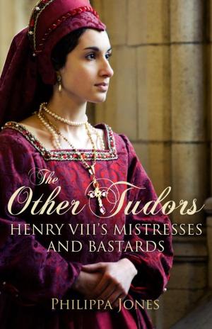 Book cover of The Other Tudors